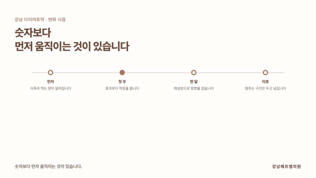 다이어트약 시작 후 식욕 변화와 식사량, 체중, 체성분이 각각 달라지는 시점을 구간으로 나눠 정리한 강남에프엠의원 자료 이미지