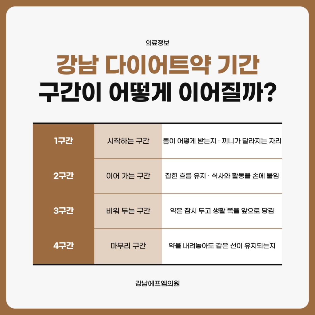 강남 다이어트약을 쓰는 기간이 시작하는 구간과 이어 가는 구간, 비워 두는 구간과 마무리로 넘어가는 구간으로 이어져 놓이는 흐름을 정리한 강남에프엠의원 자료 이미지