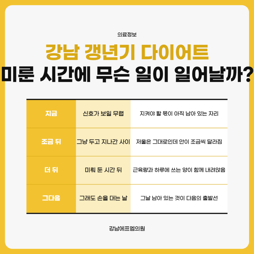 강남 갱년기 다이어트를 나이가 아니라 몸이 보내는 신호로 시작 시점을 잡고, 미뤄 두는 동안 조용히 지나가는 것과 손을 대기 시작하는 자리를 정리한 강남에프엠의원 자료 이미지